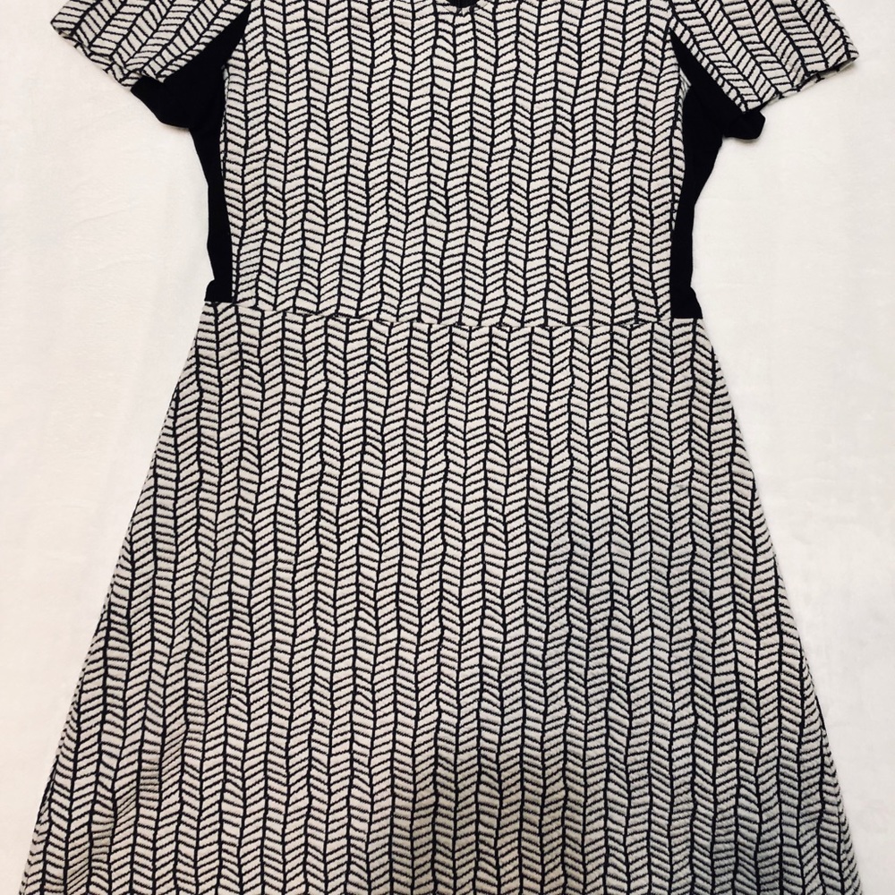 Zara Basic Collection Black Patterned Dress - image 3